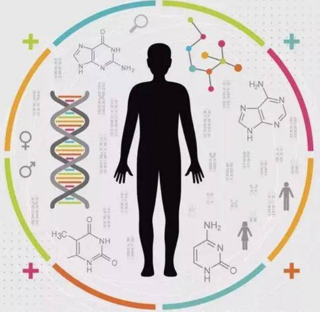 抑郁症会遗传吗?这个因素的影响比你想象的更关键-【郑州军海】